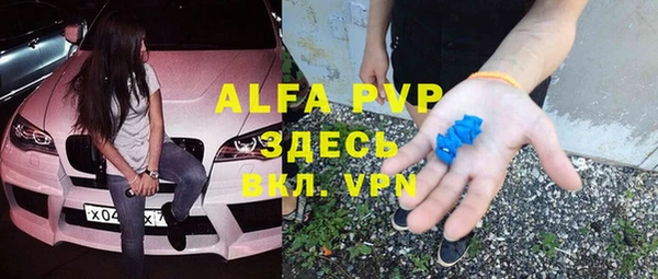 хмурый Белая Холуница