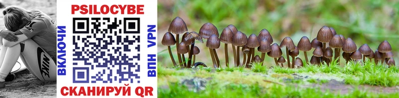 MEGA как зайти  Ильский  Псилоцибиновые грибы мухоморы 